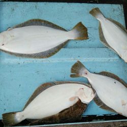 明神釣船 釣果
