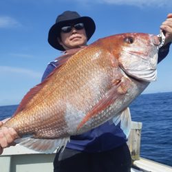 飛燕さくら丸 釣果