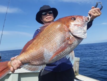 飛燕さくら丸 釣果