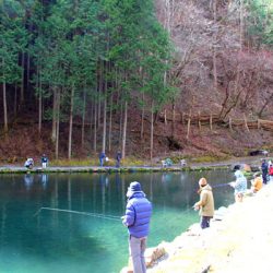 小菅トラウトガーデン 釣果