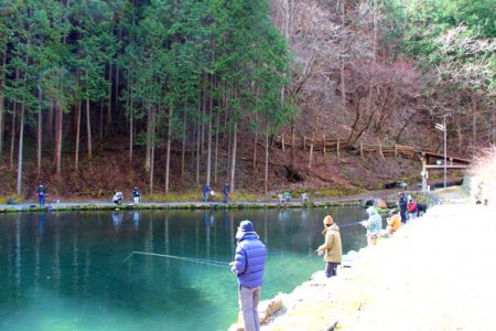 小菅トラウトガーデン 釣果