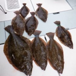 遊漁船 幸友丸 釣果