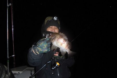 ルアー船マヒマヒ 釣果