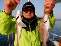 遊漁船 幸友丸 釣果