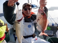 遊漁船 幸友丸 釣果