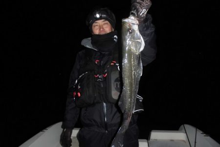 ルアー船マヒマヒ 釣果