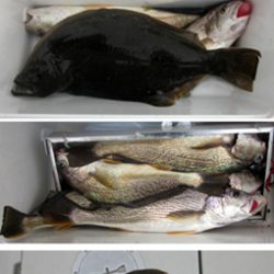 来温丸(らいおんまる) 釣果