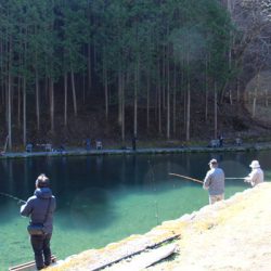 小菅トラウトガーデン 釣果
