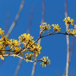 小菅トラウトガーデン 釣果