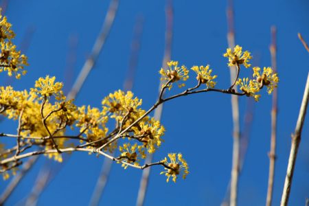 小菅トラウトガーデン 釣果