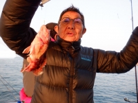 遊漁船 幸友丸 釣果