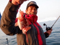 遊漁船 幸友丸 釣果