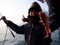 遊漁船 幸友丸 釣果