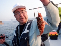 遊漁船 幸友丸 釣果