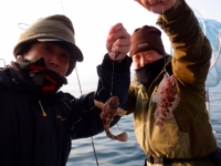 遊漁船 幸友丸 釣果