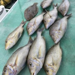 本部釣りイカダ 釣果