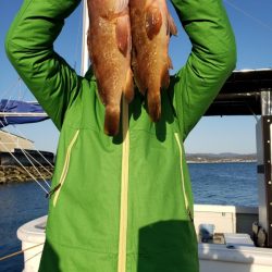 オーフリー 釣果