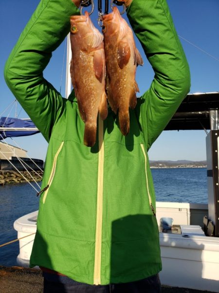 オーフリー 釣果