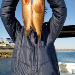 オーフリー 釣果