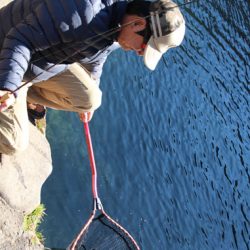 小菅トラウトガーデン 釣果