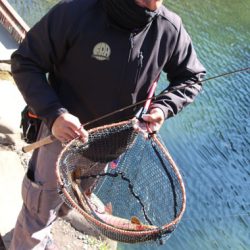 小菅トラウトガーデン 釣果