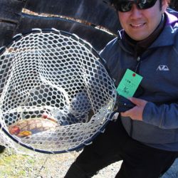 小菅トラウトガーデン 釣果