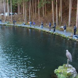 小菅トラウトガーデン 釣果