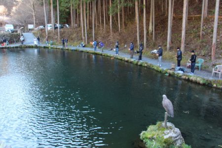 小菅トラウトガーデン 釣果