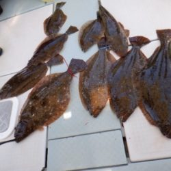 遊漁船 幸友丸 釣果