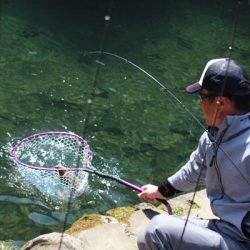 小菅トラウトガーデン 釣果