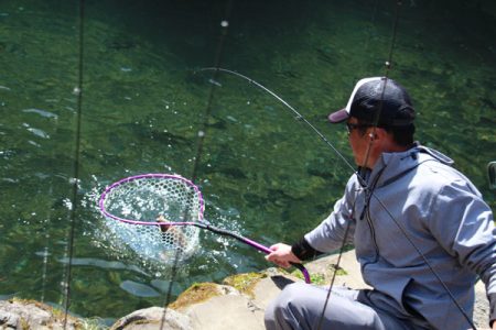 小菅トラウトガーデン 釣果