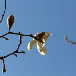 小菅トラウトガーデン 釣果