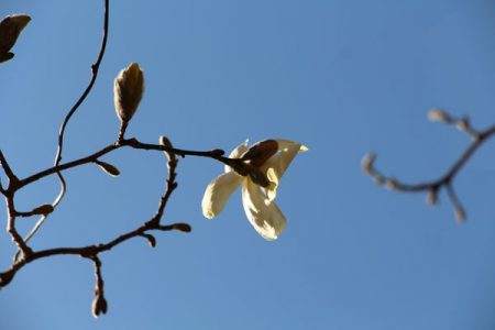 小菅トラウトガーデン 釣果