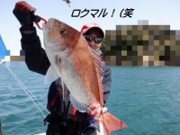 遊漁船 幸友丸 釣果