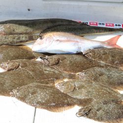 松本釣船２ 釣果