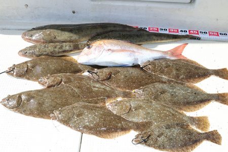 松本釣船２ 釣果