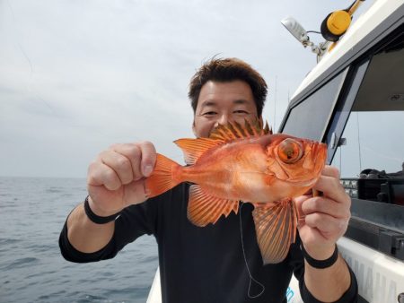 ブルーピア 釣果