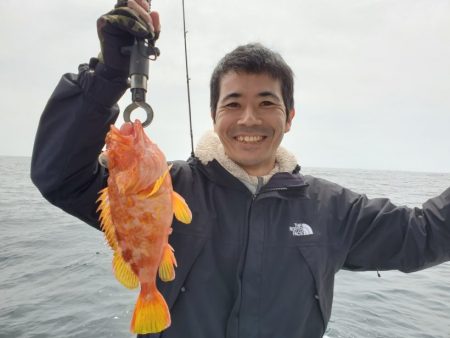 ブルーピア 釣果