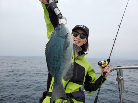 ブルーピア 釣果