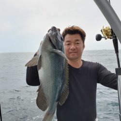 ブルーピア 釣果