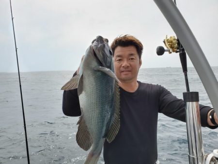 ブルーピア 釣果