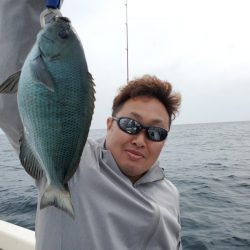 ブルーピア 釣果