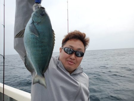 ブルーピア 釣果