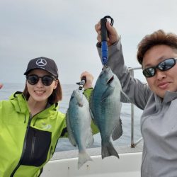 ブルーピア 釣果