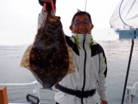 遊漁船 幸友丸 釣果