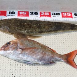 松本釣船２ 釣果