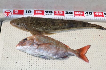 松本釣船２ 釣果