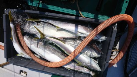 海龍丸(福岡) 釣果