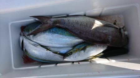 海龍丸(福岡) 釣果