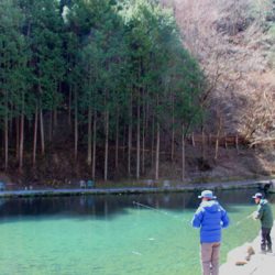 小菅トラウトガーデン 釣果